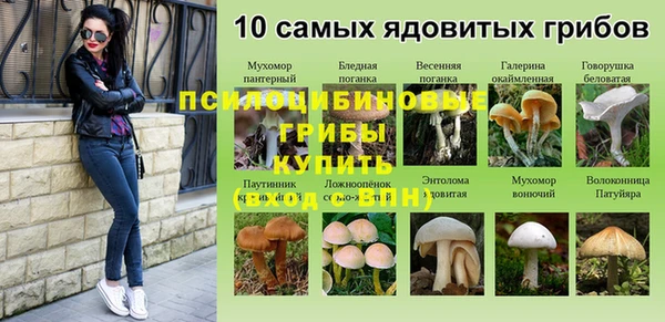 a pvp Нягань