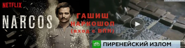 крисы Армянск